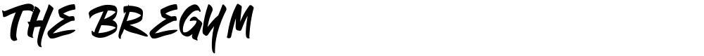 The Bregym